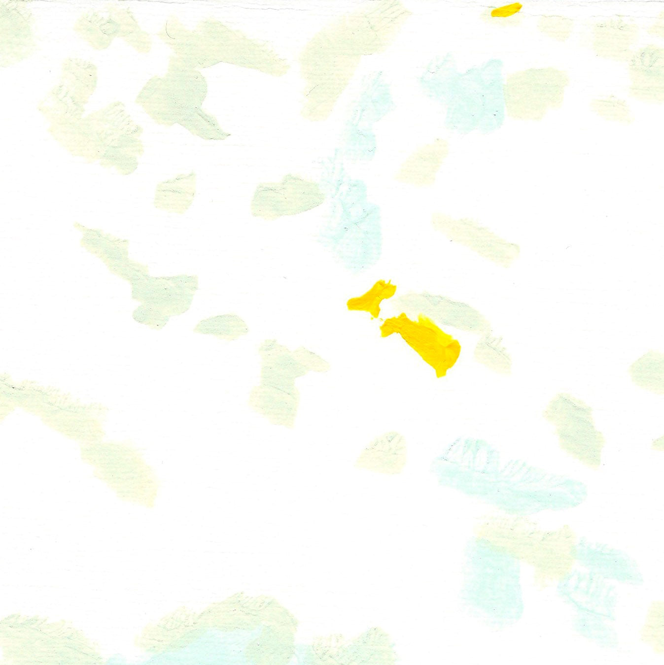 Liquen 46