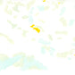 Liquen 46