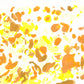 Liquen 36