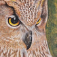 Búho al asecho