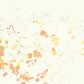 Liquen 3