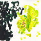 Liquen 35