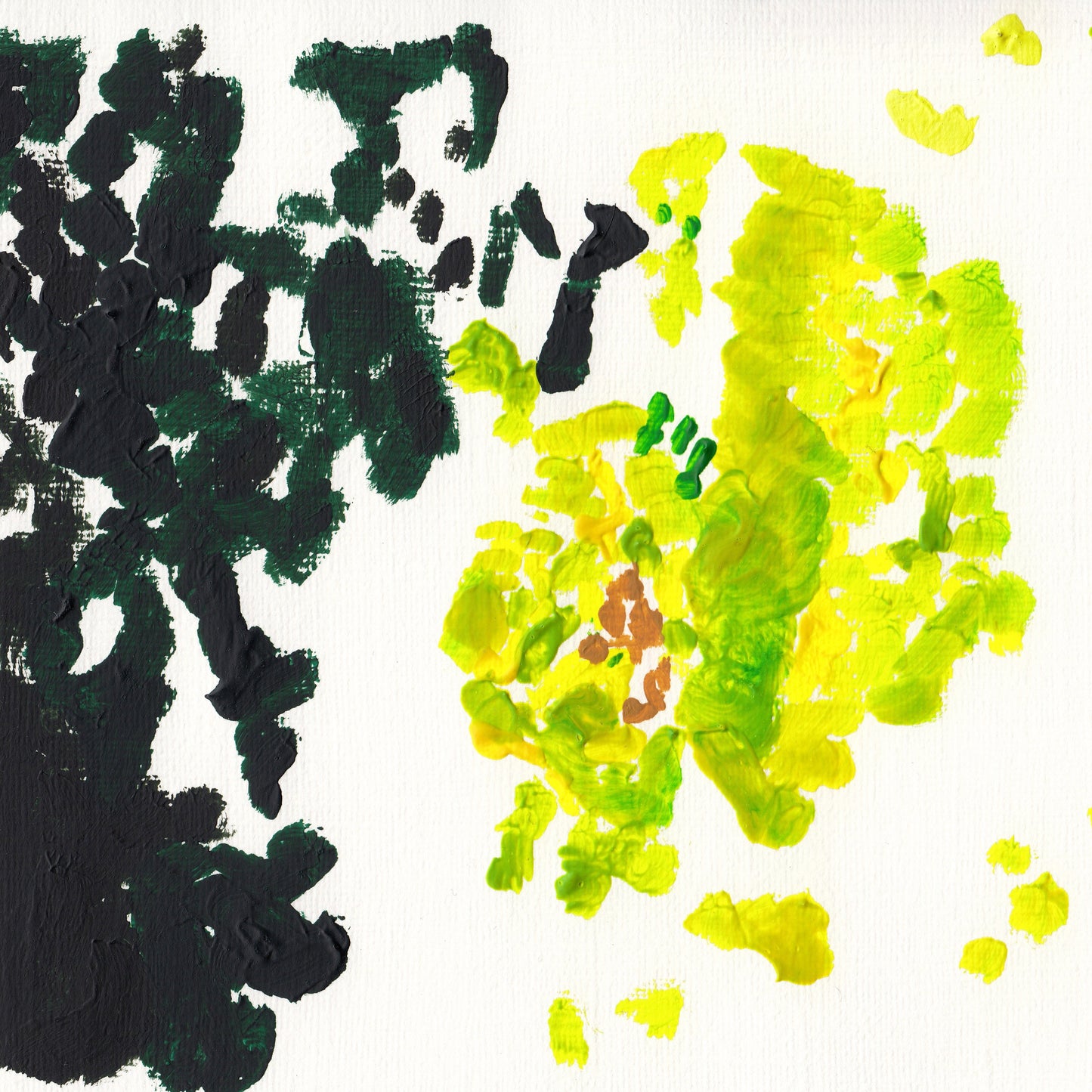 Liquen 35
