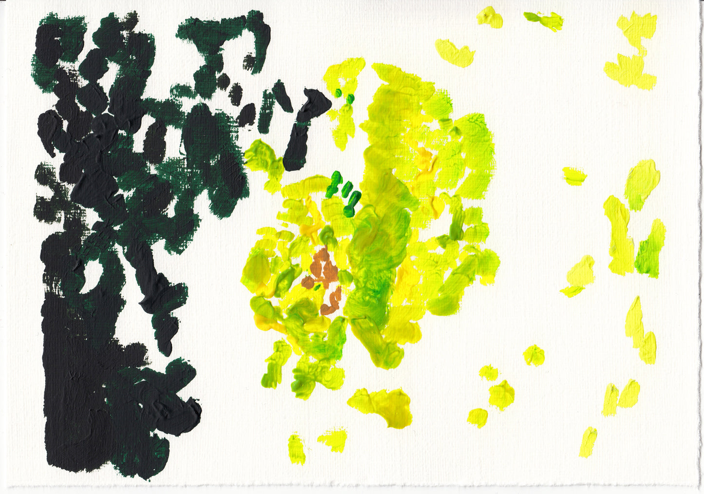 Liquen 35