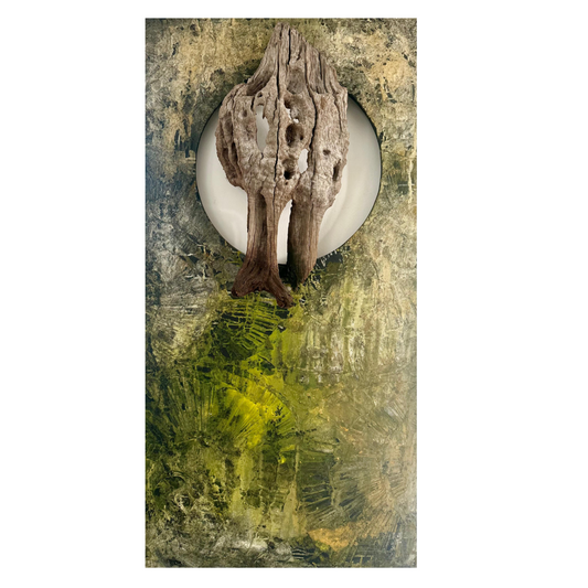 AVICENNIA