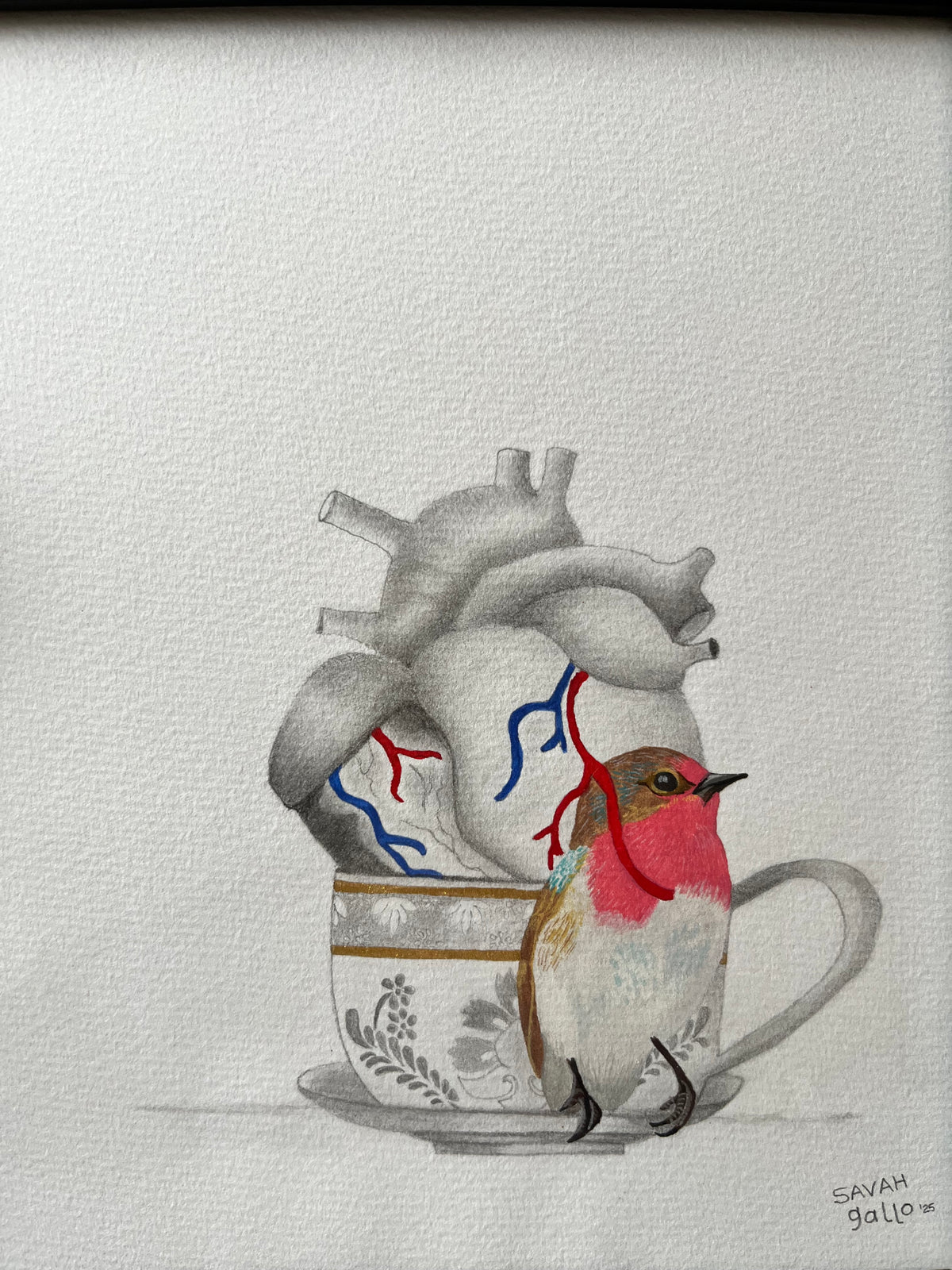 Encuentro