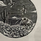 Maripeces Desérticos