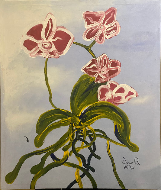 Las orquídeas