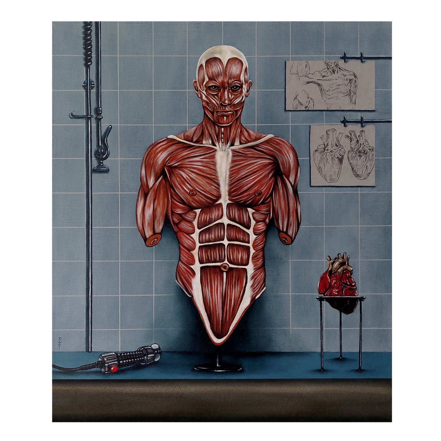 Obra de arte original - Anatomia Classis