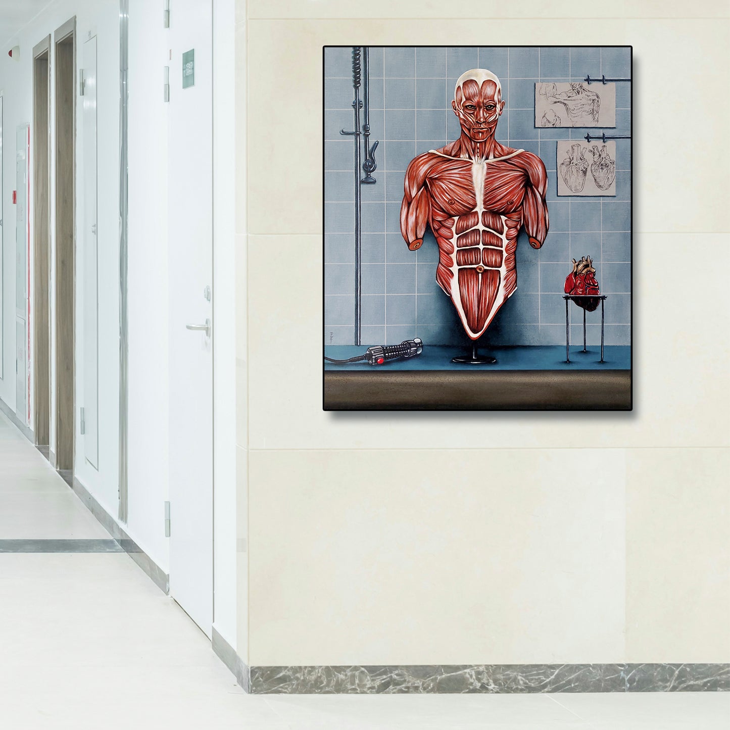 Obra de arte original - Anatomia Classis