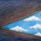 Abriendo el vuelo