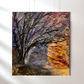 "Otoño. Estado del Alma"
