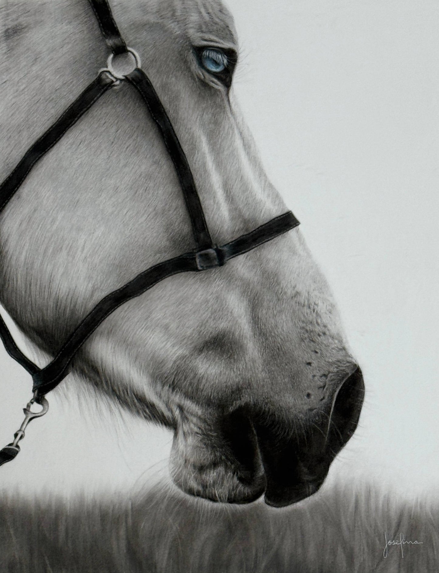 CABALLO