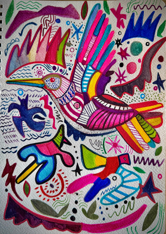 Colibri Cosmico