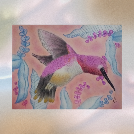 Colibrí