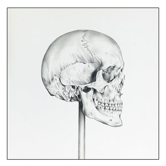 Obra de arte original - Cráneo Lateral