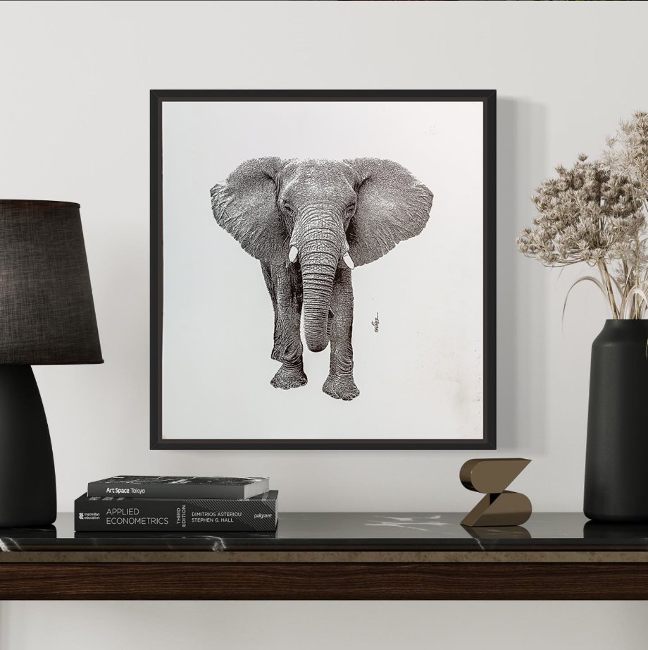 Elefante en Blanco y Negro
