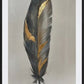 Plumas de Angela