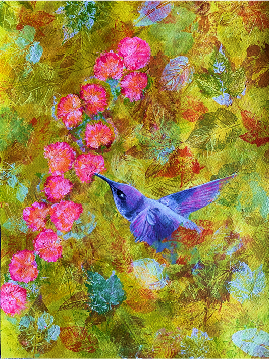 Colibrí libando