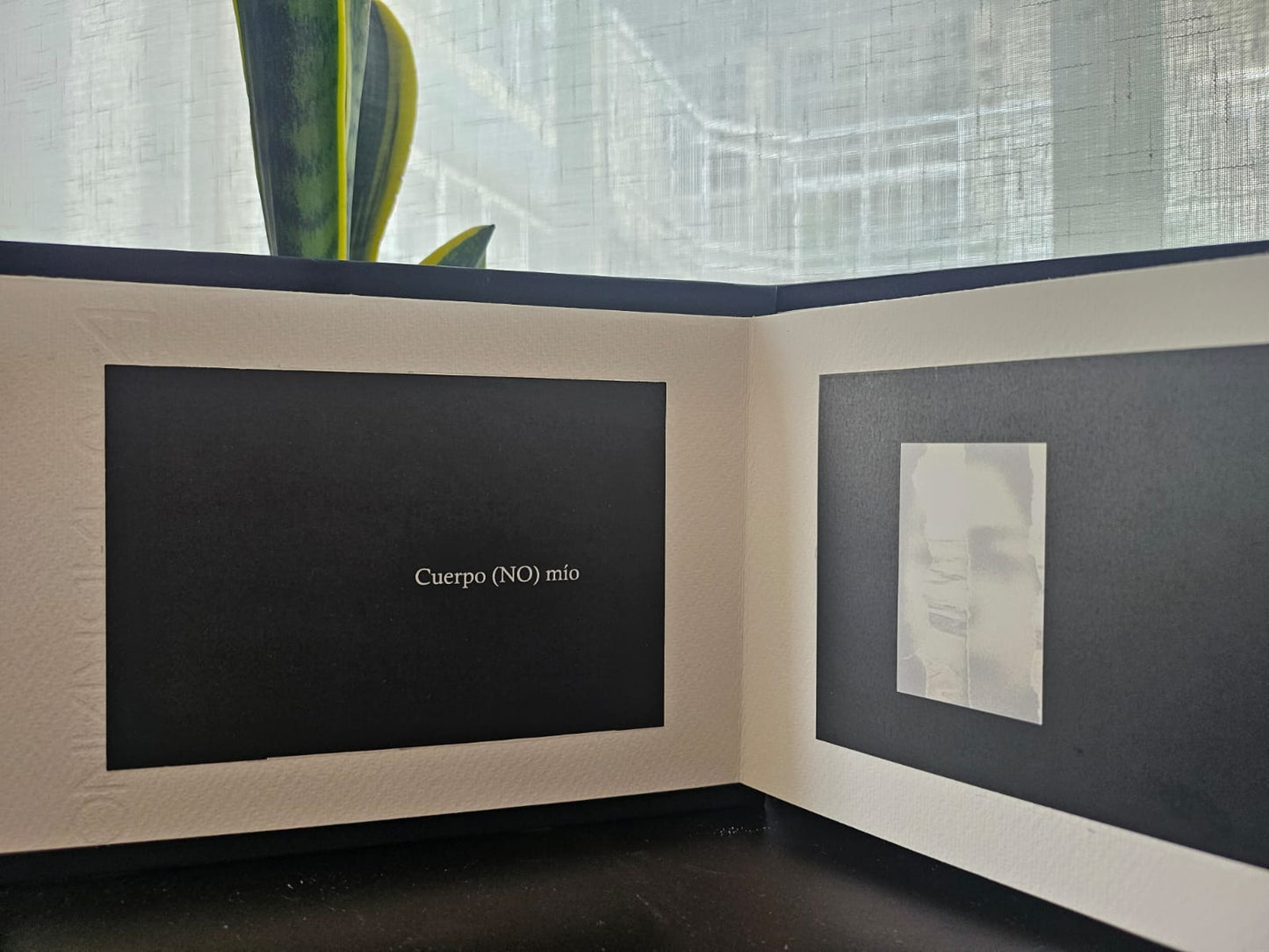Cuerpo (NO)mío