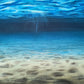 Fondo Marino