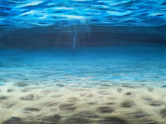 Fondo Marino