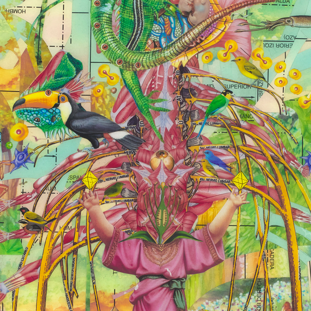 Obra de arte original - De la carne emplumada florecieron los sueños