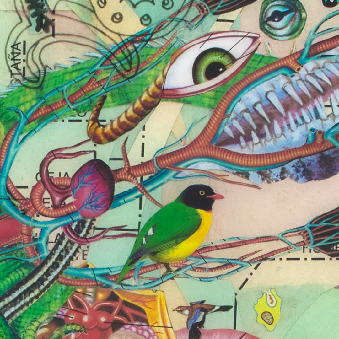 Obra de arte original - De la carne emplumada florecieron los sueños