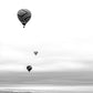 Fotografía blanco y negro - Vuelo