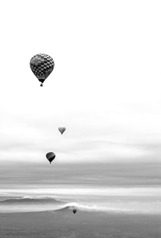 Fotografía blanco y negro - Vuelo