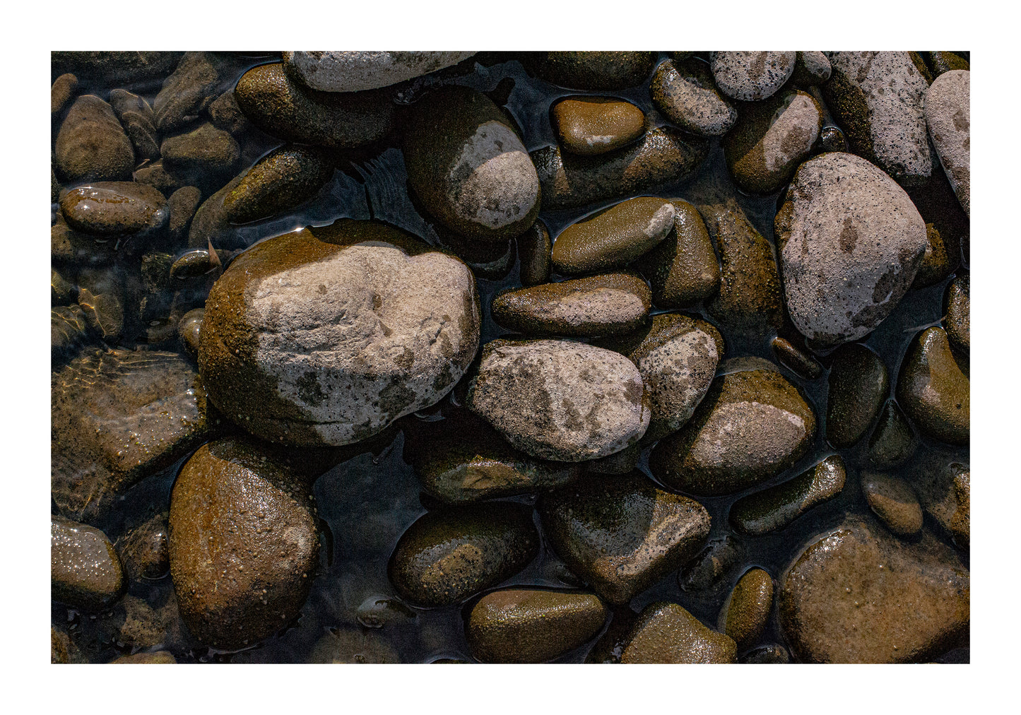 Piedras del Río Sombrerete Chico Colección