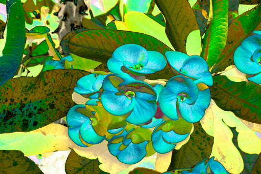 MIS ENCUENTROS ESTÁN LLENOS DE AMOR