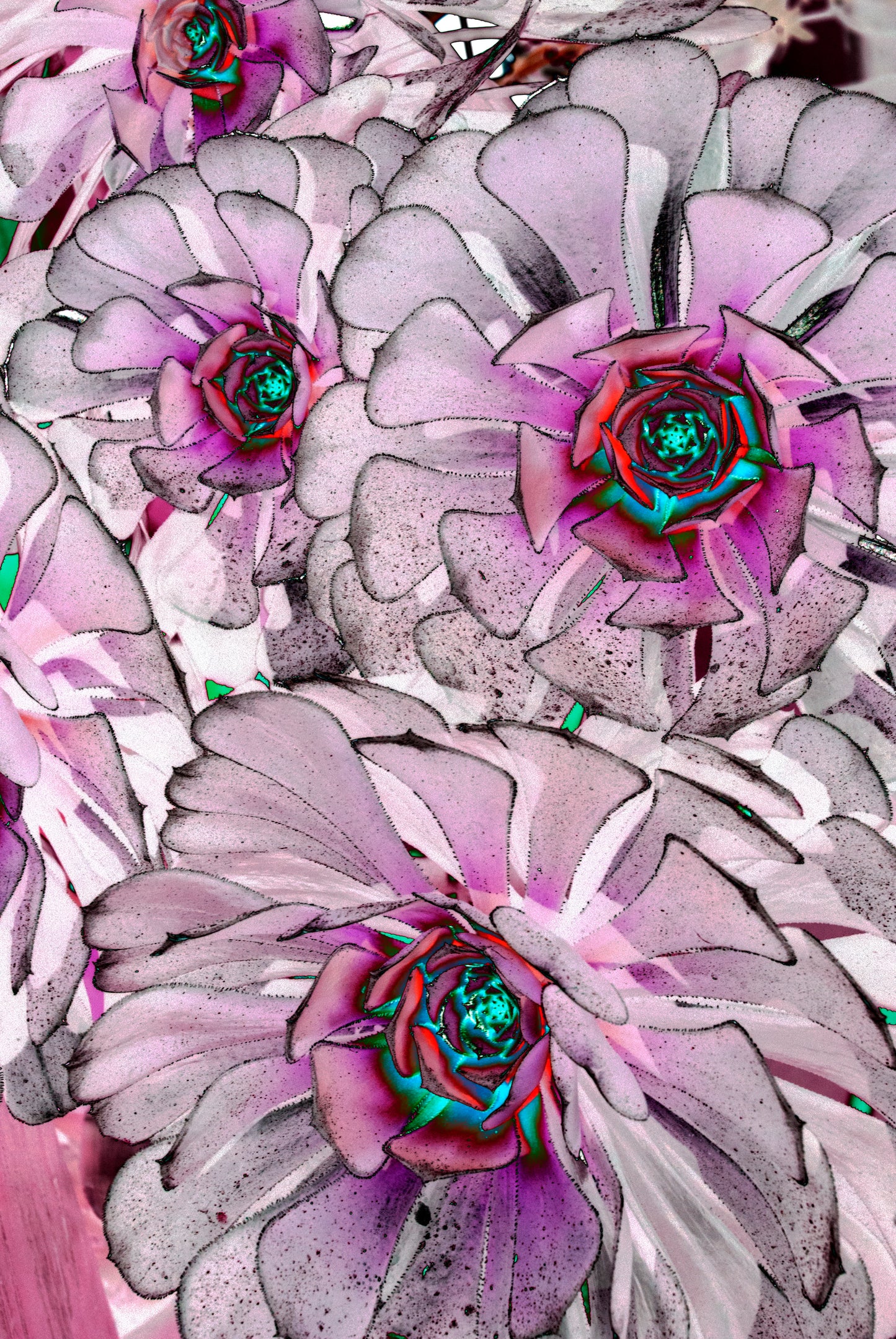 FLORES CON CENTRO AZUL