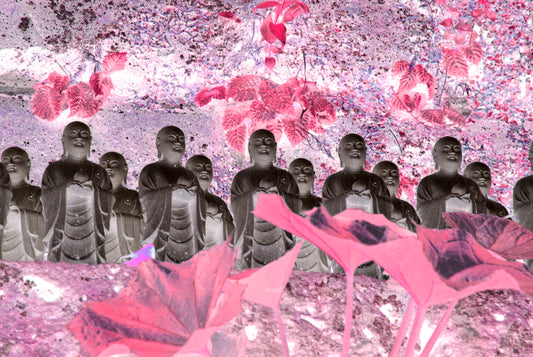 ME ABRO A LA EXPERIENCIA