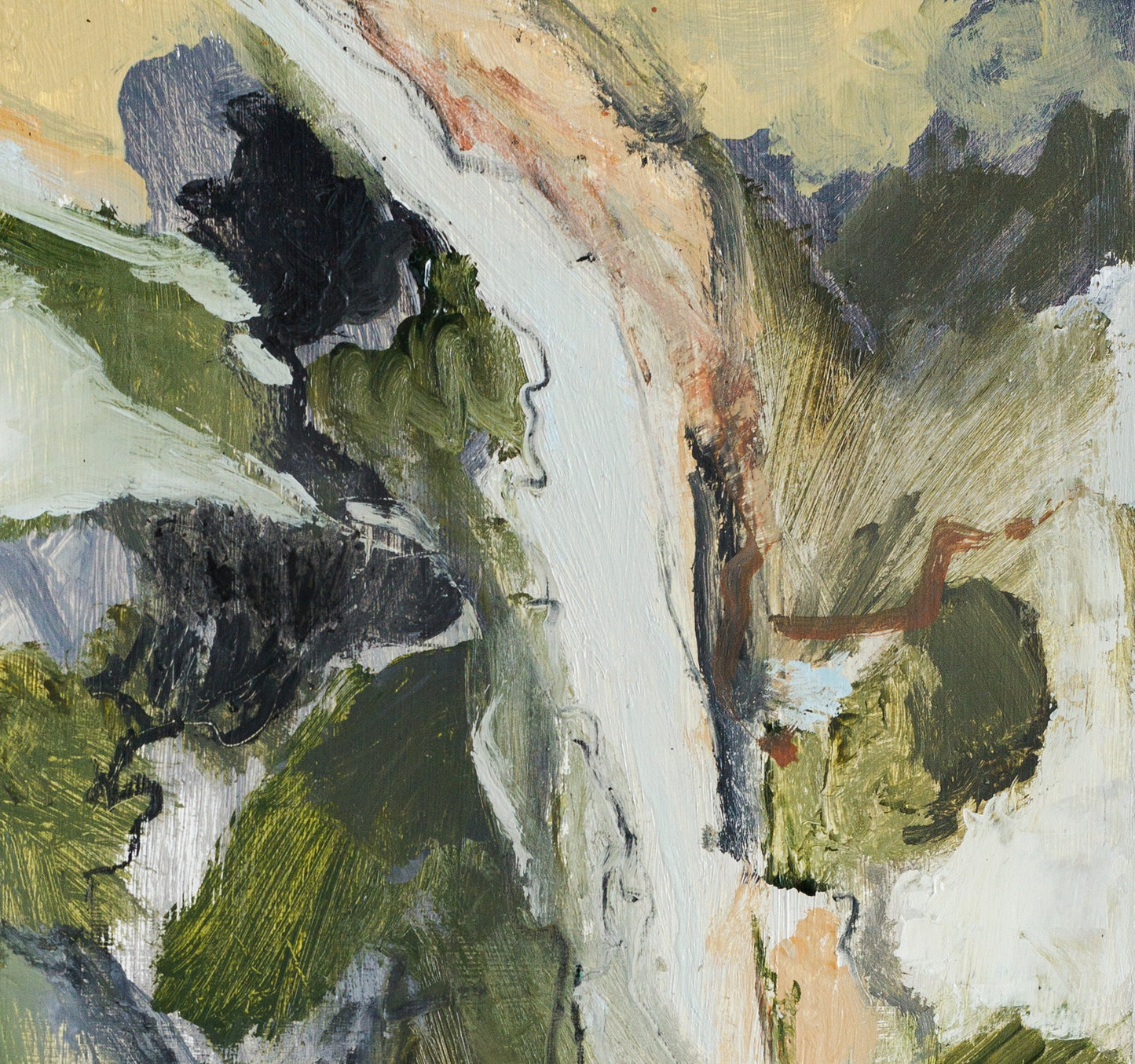 Viaje al centro de la selva