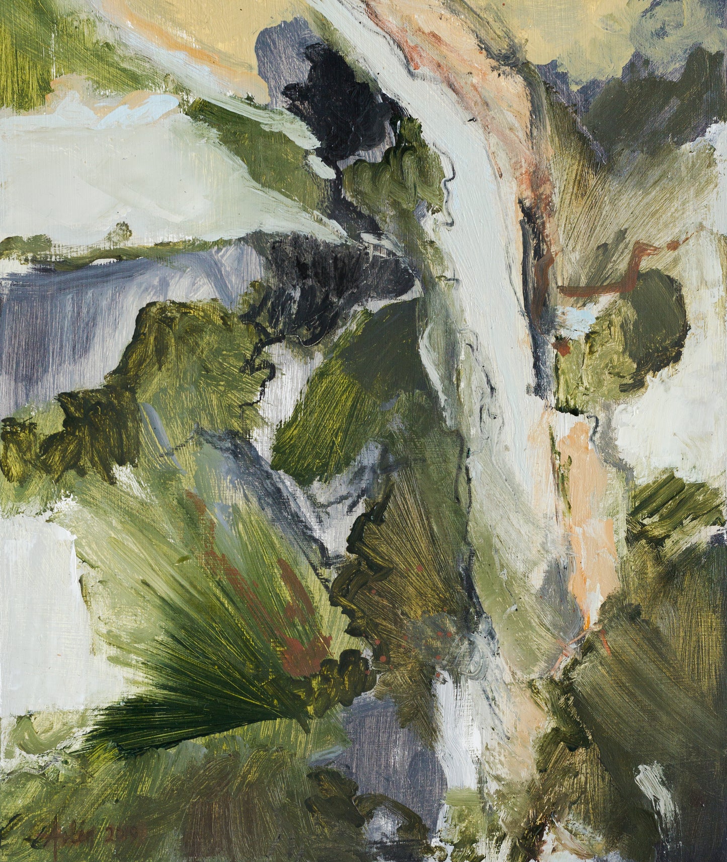 Viaje al centro de la selva