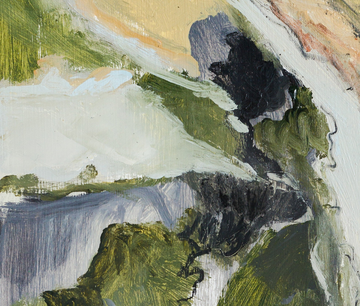 Viaje al centro de la selva