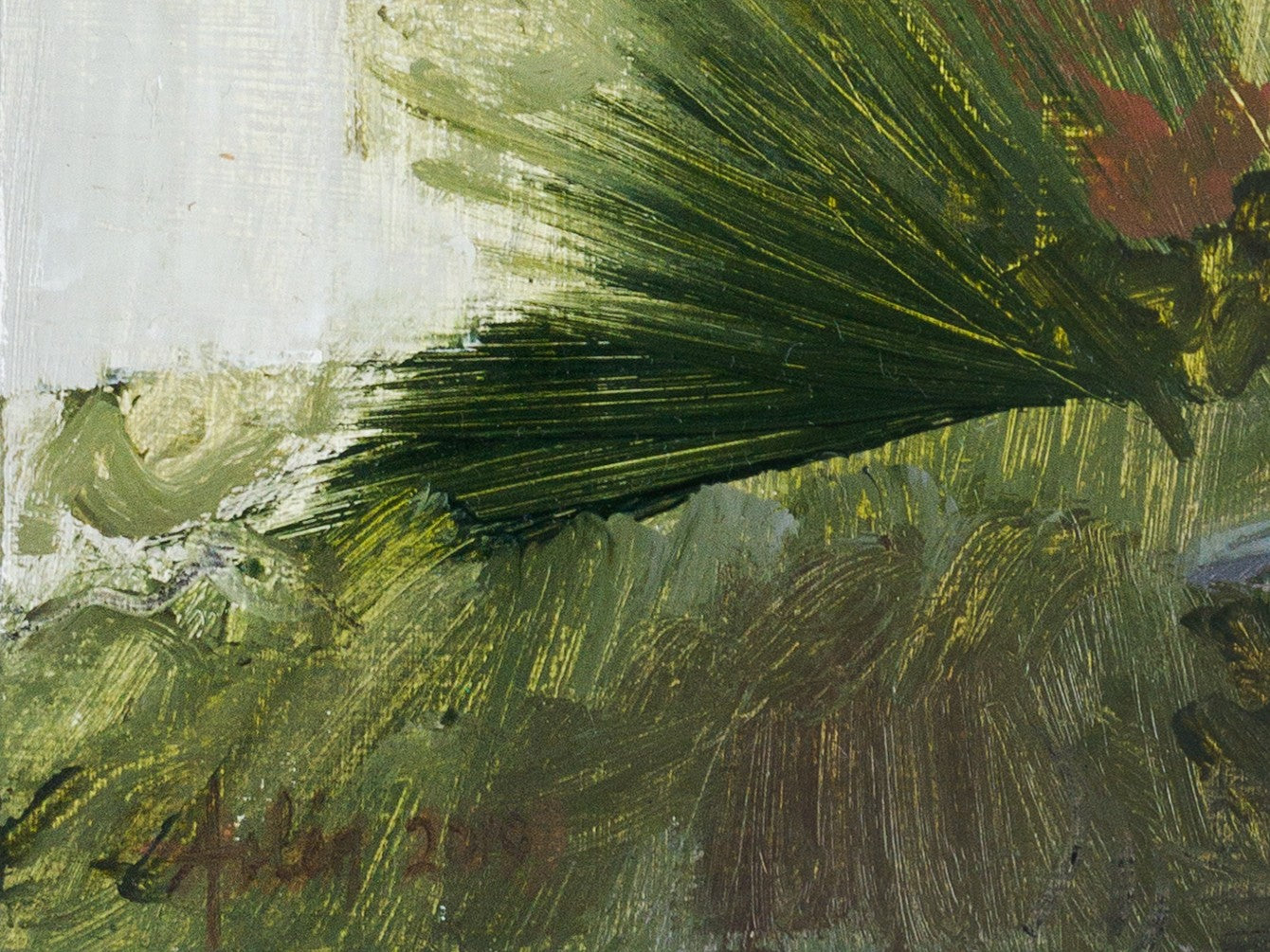 Viaje al centro de la selva