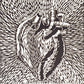 El corazón