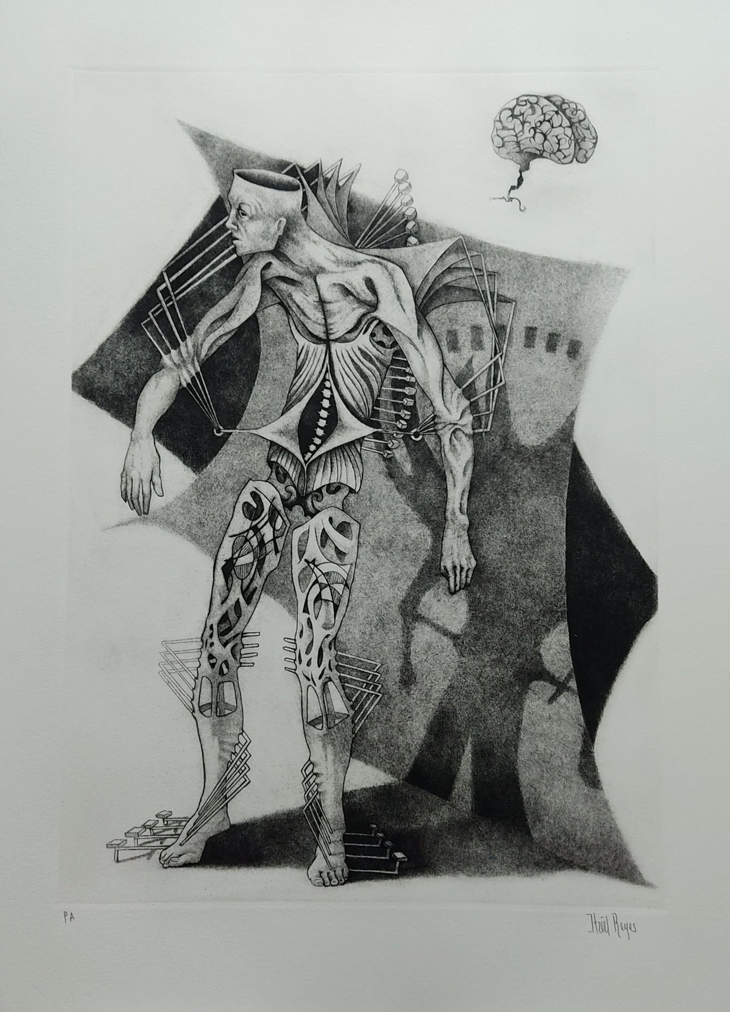 Obra de arte original - Disección número 5