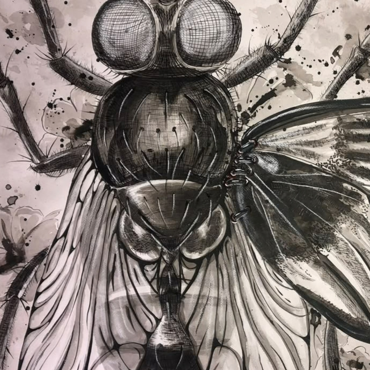 Arte decorativo - Metamorphóō