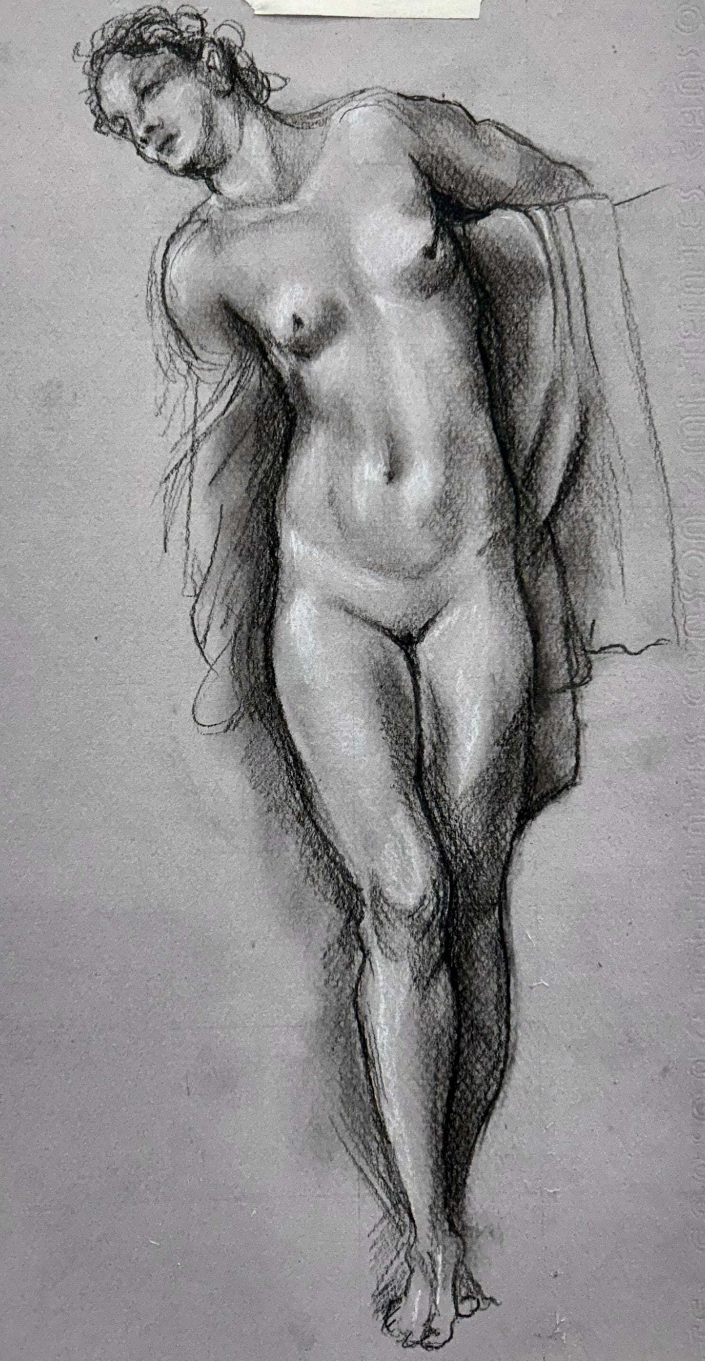 Estudio Histórico de la Mujer