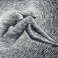 Caracol