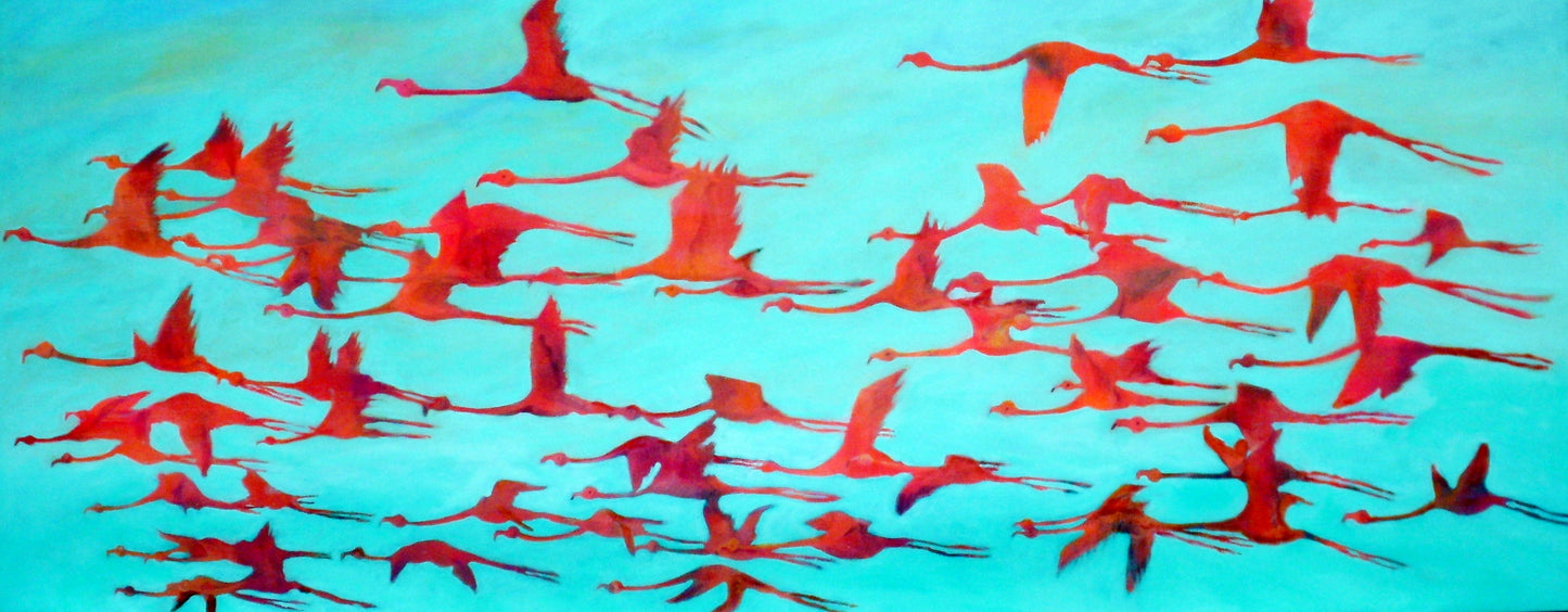 Flamingos