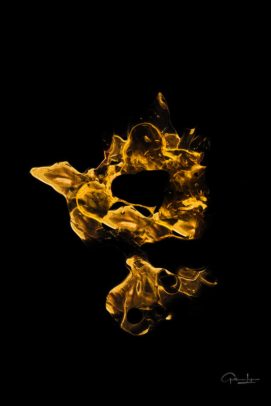 GOLDEN FIRE