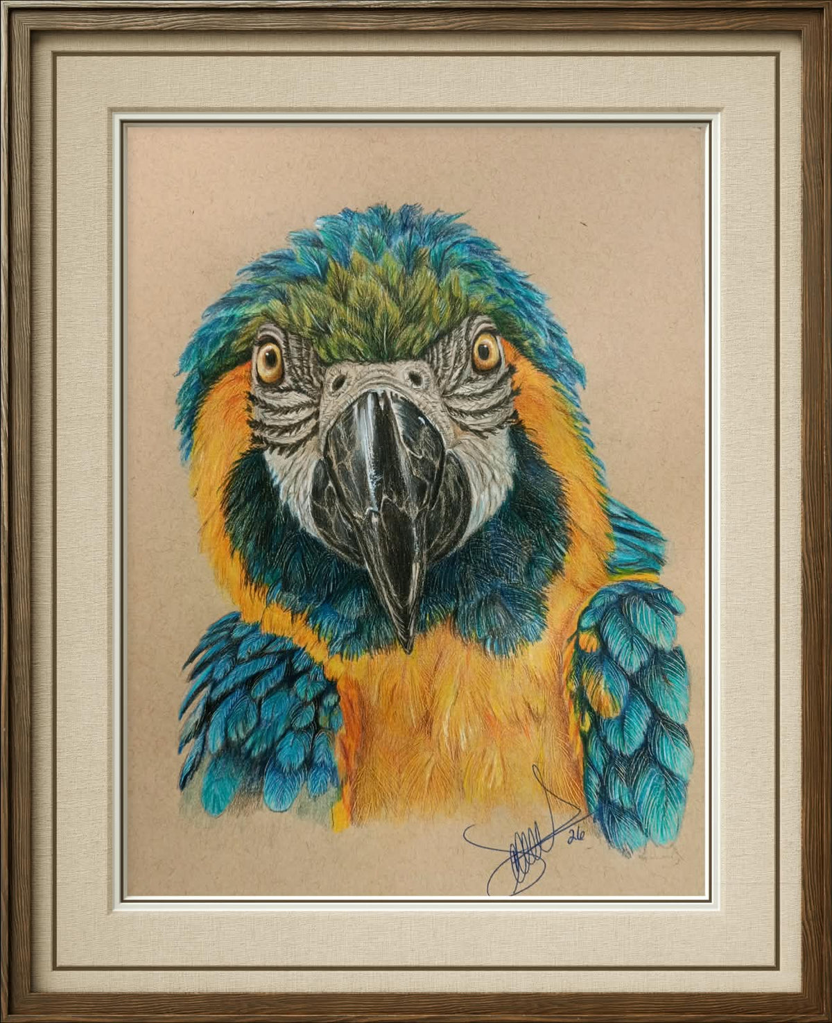 Cuadro original - Guacamaya