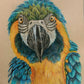 Cuadro original - Guacamaya