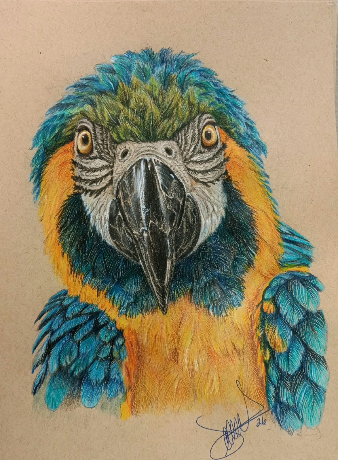 Cuadro original - Guacamaya