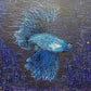 BLUE BETTA