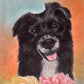 Happy dog II